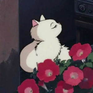 Meet your Posher, Storm